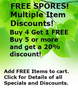 Free Spores Buy More and Save Money