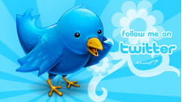 Twitter Blue Bird 