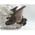 Blue Oyster Mushroom Culture Syringe