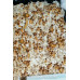 Costa Rica Cubensis Spore Syringe