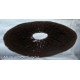 SPORE PRINTS SPORE PRINTS