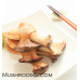 King Oyster Mushroom Culture Syringe