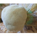 Lion's Mane Mushroom Culture Syringe