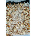Puerto Rico Cubensis Spore Syringe