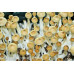 Treasure Coast Cubensis Spore PRINT