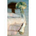 Z-Strain Cubensis Spore Syringe