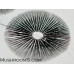 Panaeolus Cambodginiensis Thailand Goliath Spore PRINT