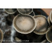 Panaeolus (Copelandia) Bisporus Spore Syringes