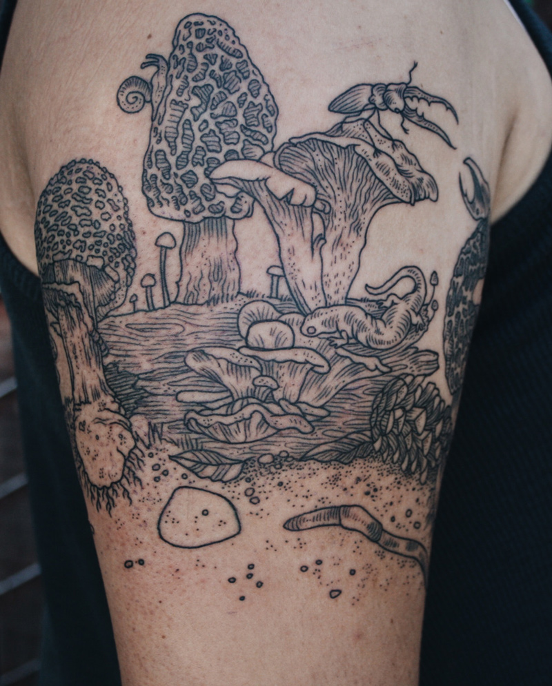 mushroom tattoo pictures mushroom tattoo pictures