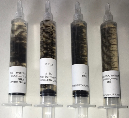 Mushrooms.com Spore Syringes with Hundreds of Thousands of Active Spores