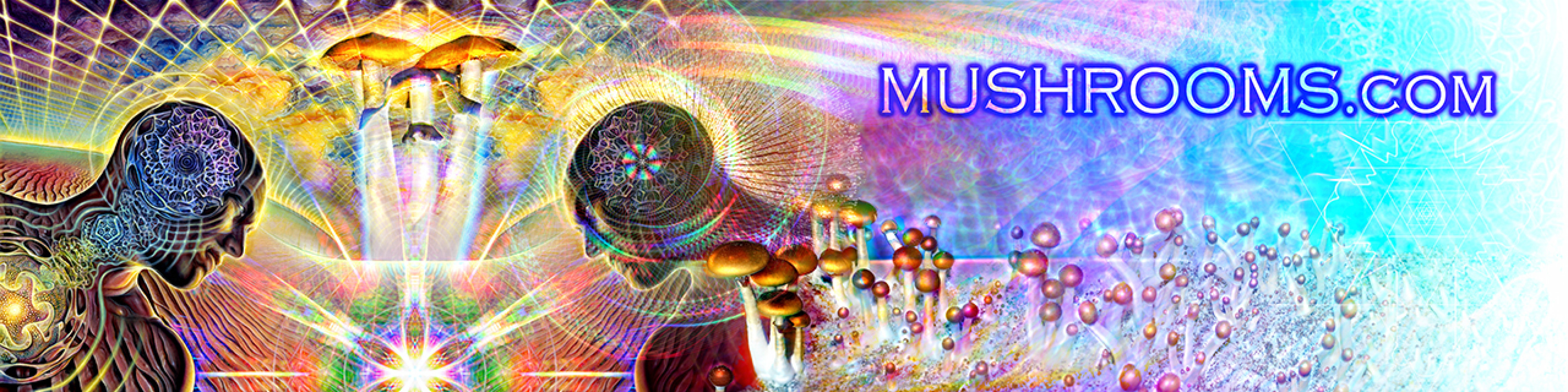 muShrooms.com